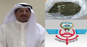 «الجمارك»: ضبط وافدة حاولت تهريب كيلو ونصف «قات مخدر»