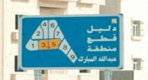 شاب وفتاة يتبادلان القبلات في حديقة الرقة