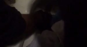 وفد «جمعية المحامين» يختتم زيارتة إلى هولندا