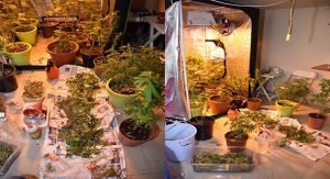 الشطي: تجاوزات هيئة الزراعة يشيب منها شعر الولدان