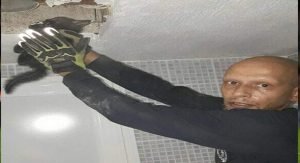 «الإطفاء»: إنقاذ قطة محشورة في أنبوب منزل بـ «الشامية»