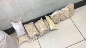 الجنايات تقضي بإعدام إيرانيين «طباخين» قتلا أحد أبناء الأسرة