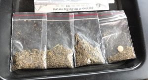 شهداء الصلاة والصيام المثال «الصادق» للتضحية