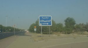 ضرب وإتلاف مركبة في مشاجرة نسائية بـ«المقبرة»