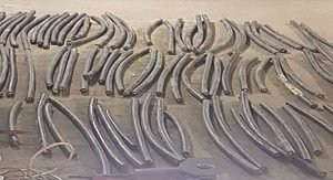 مصري يسرق كيبلات وزارة الكهرباء ويبيعها في السكراب