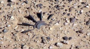 إصابة مواطنين في إنفجار بالسالمي