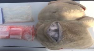 «دب» مملوء بالمخدرات في الفروانية