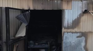 22 متغيّباً وبائعاً متجولاً إلى الإبعاد