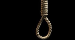 العناية الإلهية تنقذ العشرات من حريق التهم عمارة بجليب الشيوخ