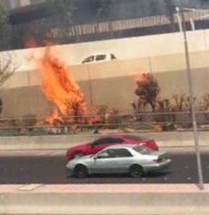 السيطرة على حريق أشجار على الدائري الأول