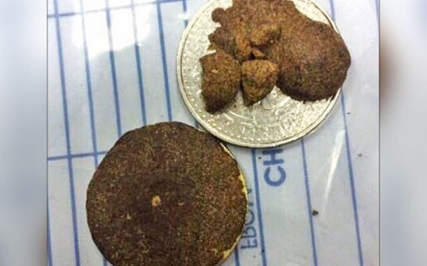 ضبط وافد عربي بحوزته حشيش في المطار