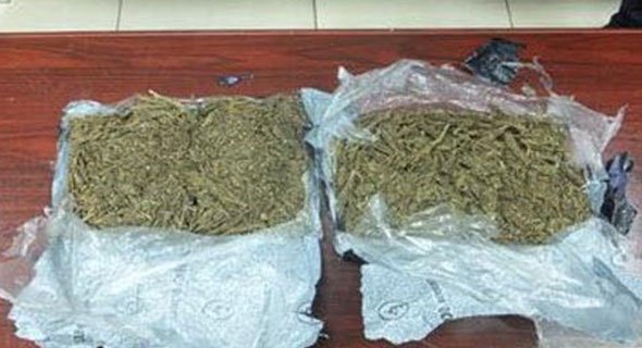 جمارك المطار تضبط كيلو ونصف «ماريغوانا» بحوزة مسافر آسيوي