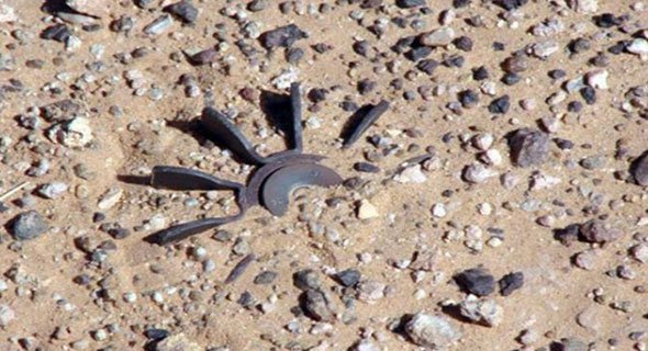 وفاة «هندي» في لغم «عراقي» بجوار اللواء السادس