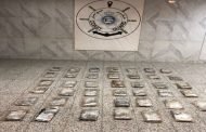 الداخلية: إحالة المتهمين الـ 3 بتهريب 41 كيلو مخدرات «بحراً» إلى جهة الاختصاص