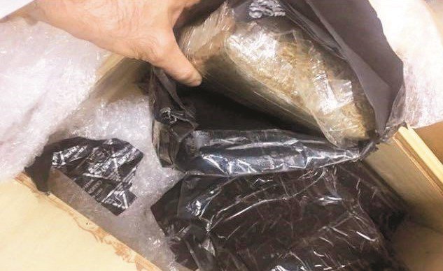 إحباط تهريب كيلوغرام «قنب» في طرد بريدي