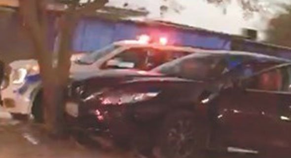 وفاة آسيوي اصطدم بـ «شجرة» على طريق المطلاع