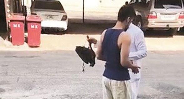 تفحم «صقر» بقيمة 3500 دينار في حريق ديوانية بالقصور