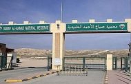 ضبط 3 مواطنين بحثوا عن الفقع واقتلعوا النباتات في محمية صباح الأحمد.. ورابعهم «غرزت» سيارته